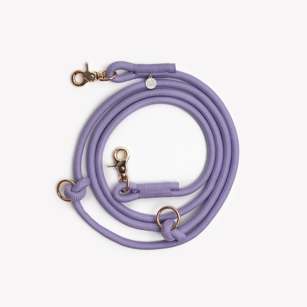 FURLOU Hands-Free Braided Leash – Lavender