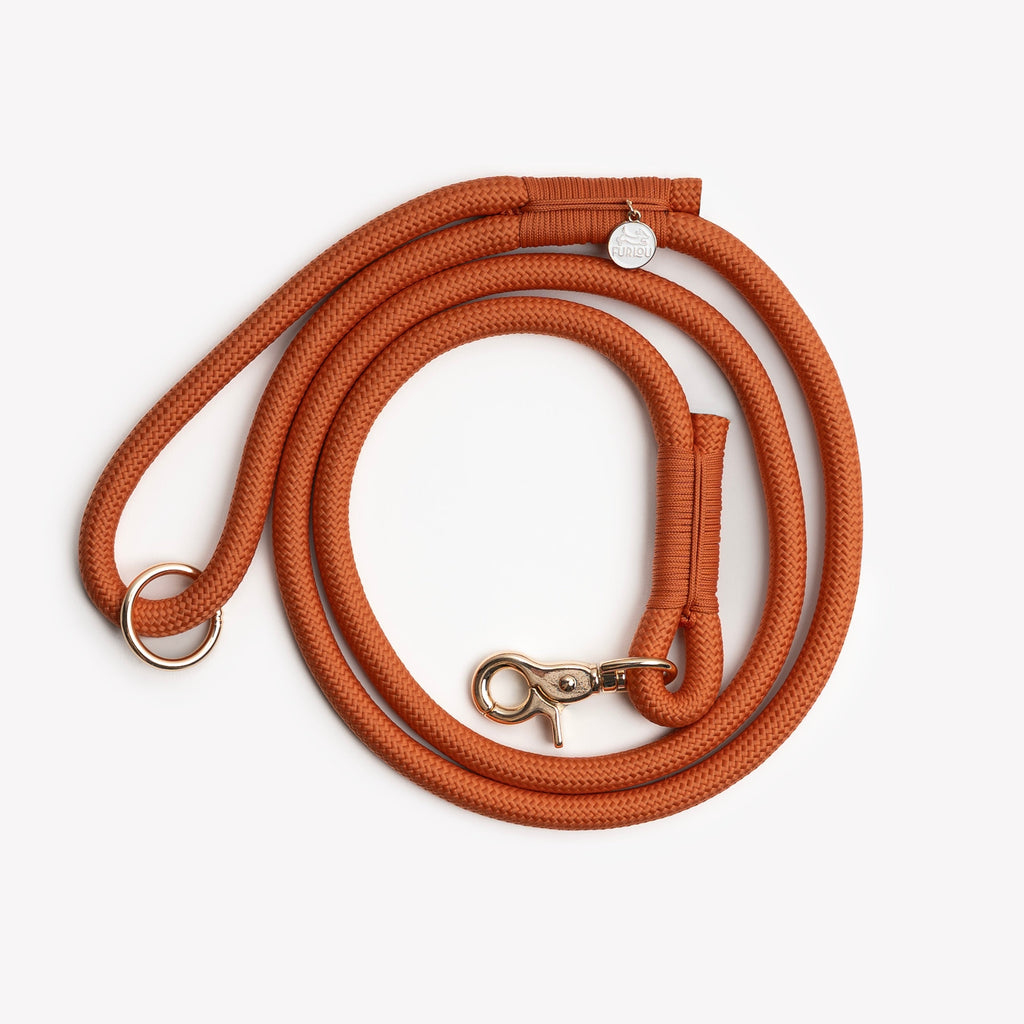 FURLOU Braided Rope Leash – Terracotta