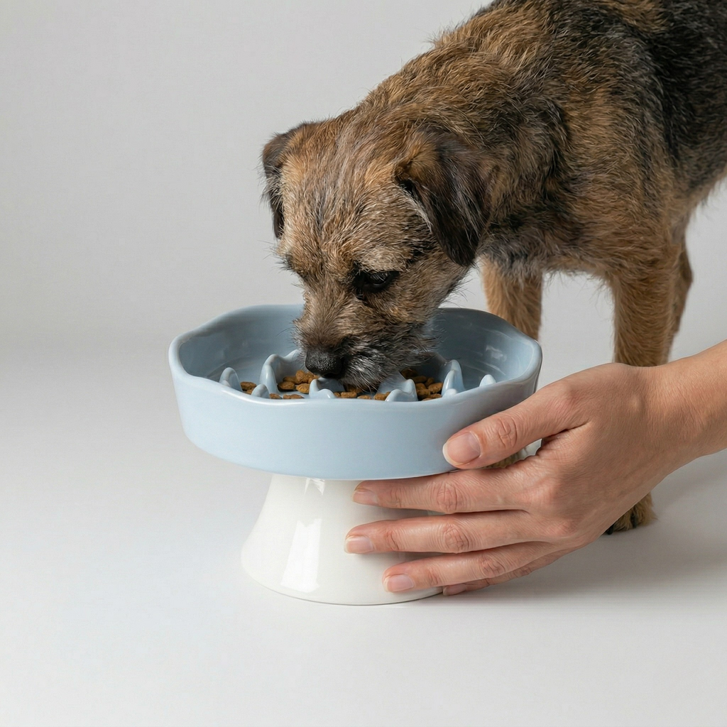 Midfox Elevated Ceramic Slow Feeder Bowl