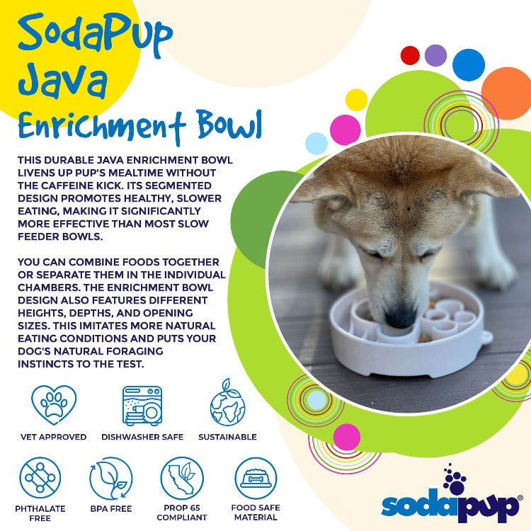 SodaPup Java Slow Feeder Dog Bowl