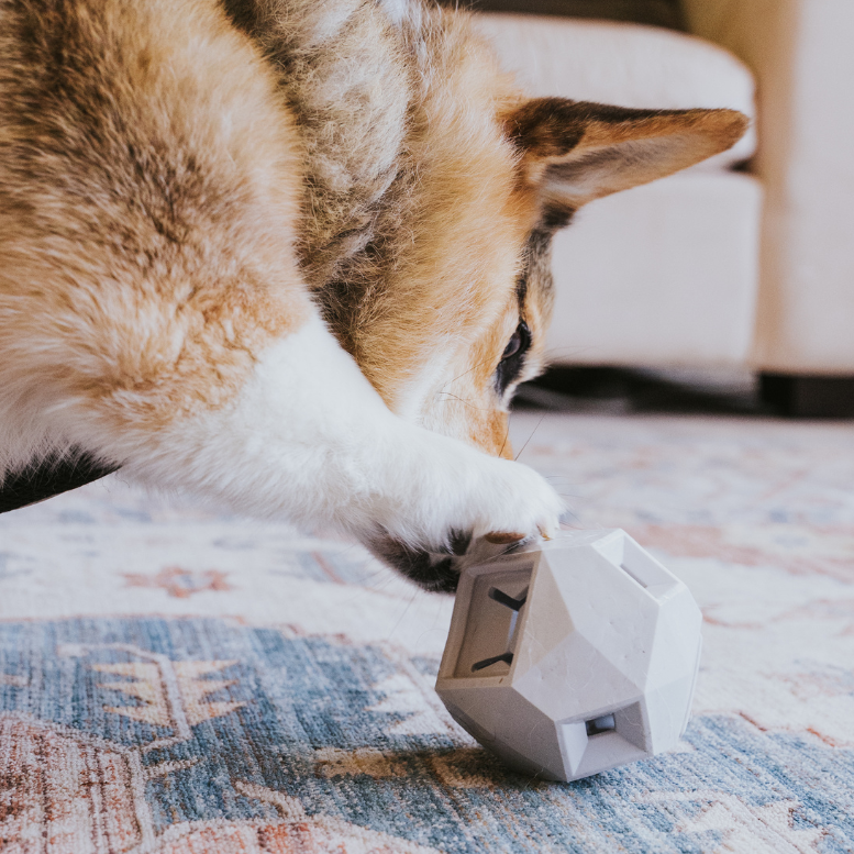 Up Dog Odin Treat Dispensing Toy