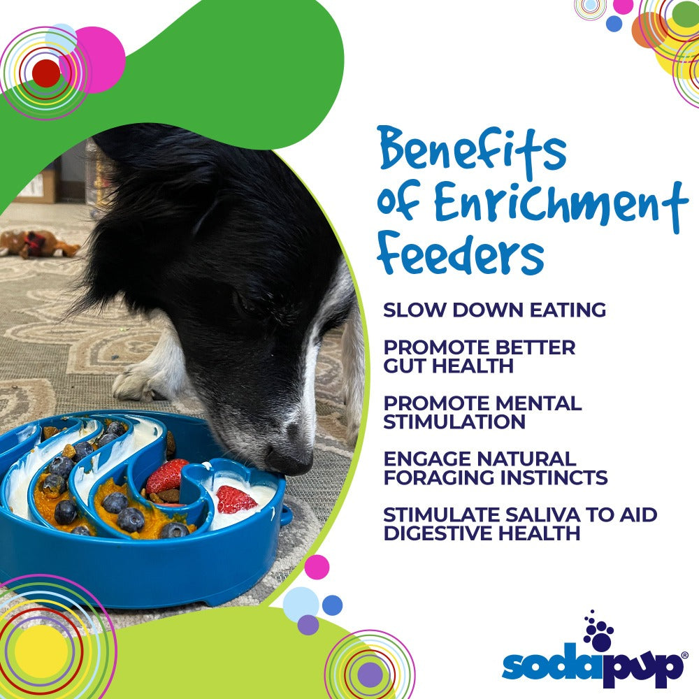 SodaPup Wave Slow Feeder Dog Bowl