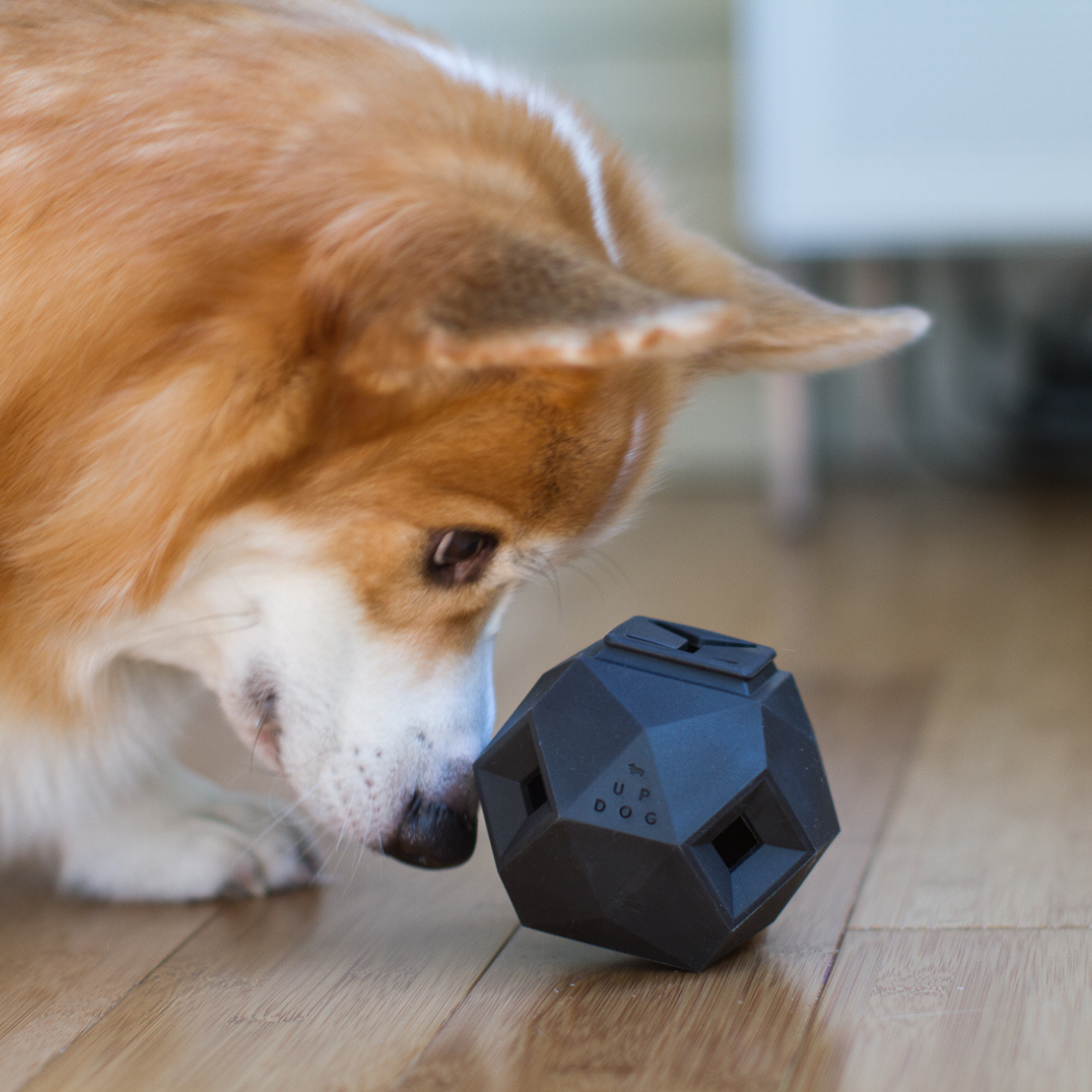 Up Dog Odin Treat Dispensing Toy