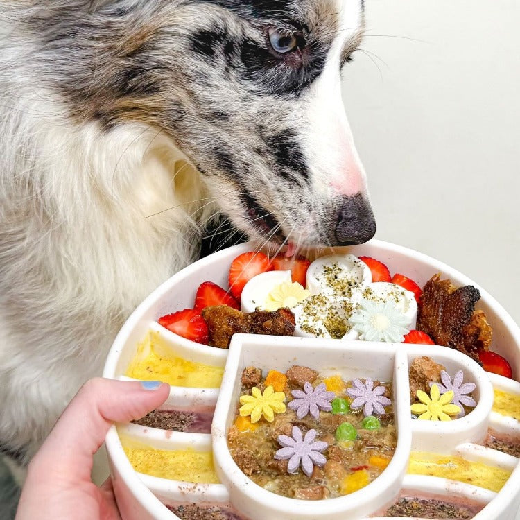 SodaPup Java Slow Feeder Dog Bowl