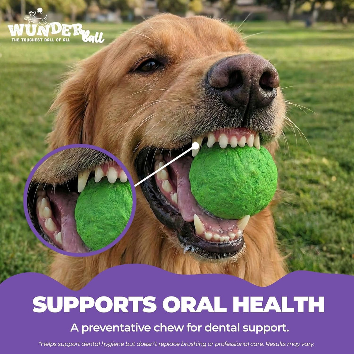 WUNDERball Natural Rubber Fetch Ball