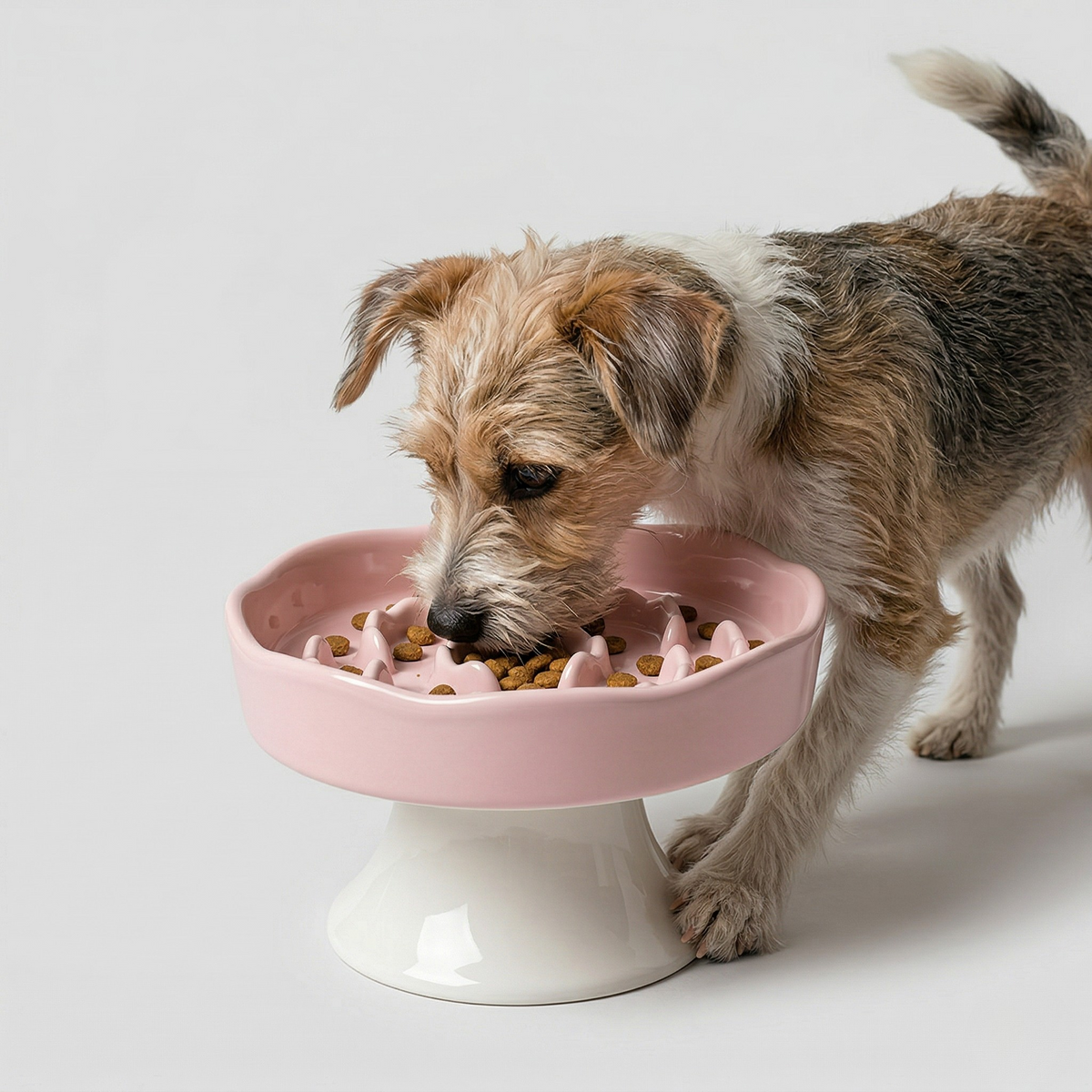 Midfox Elevated Ceramic Slow Feeder Bowl