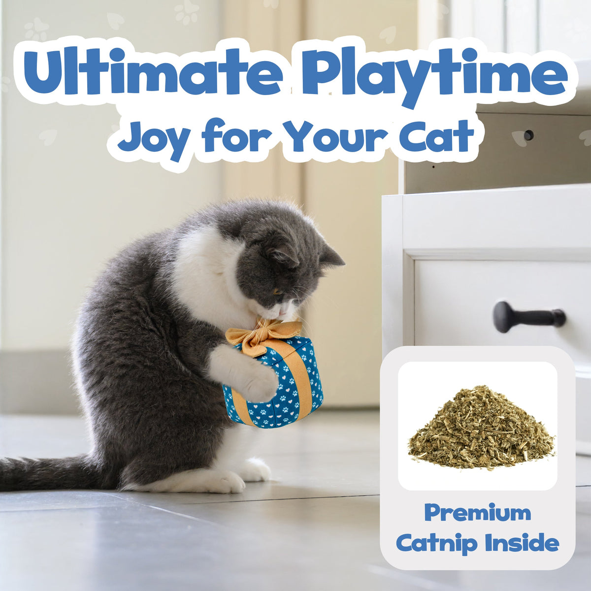 PUPROAR Gift Box Catnip Cat Toy