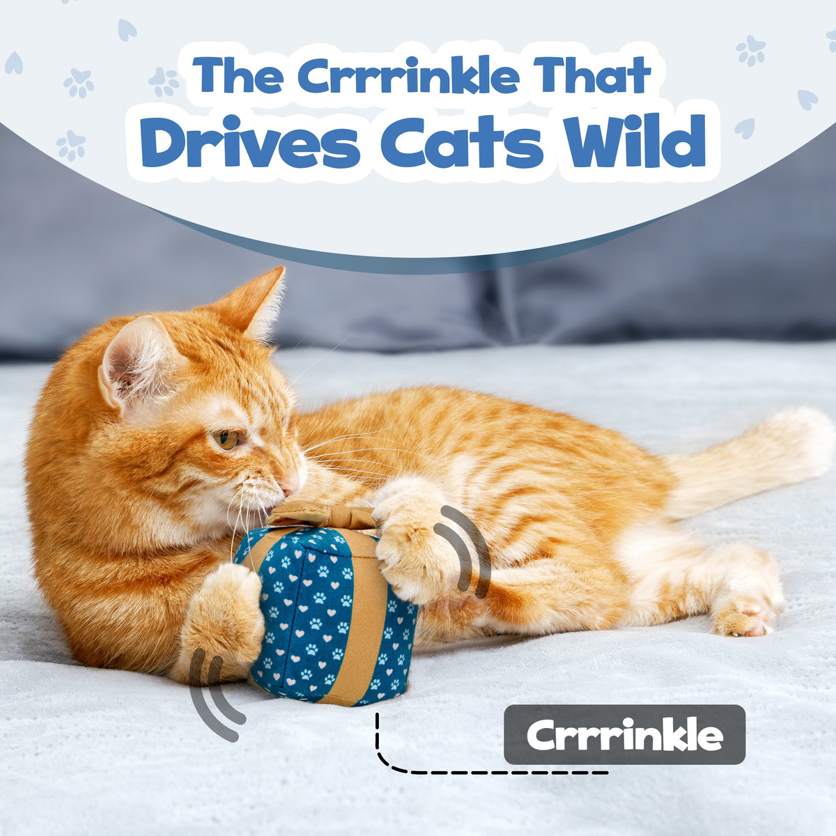 PUPROAR Gift Box Catnip Cat Toy