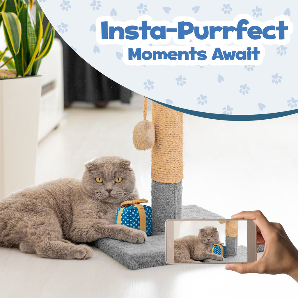 PUPROAR Gift Box Catnip Cat Toy