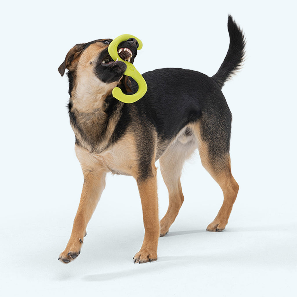 West Paw Bumi Stretchy Tug Toy