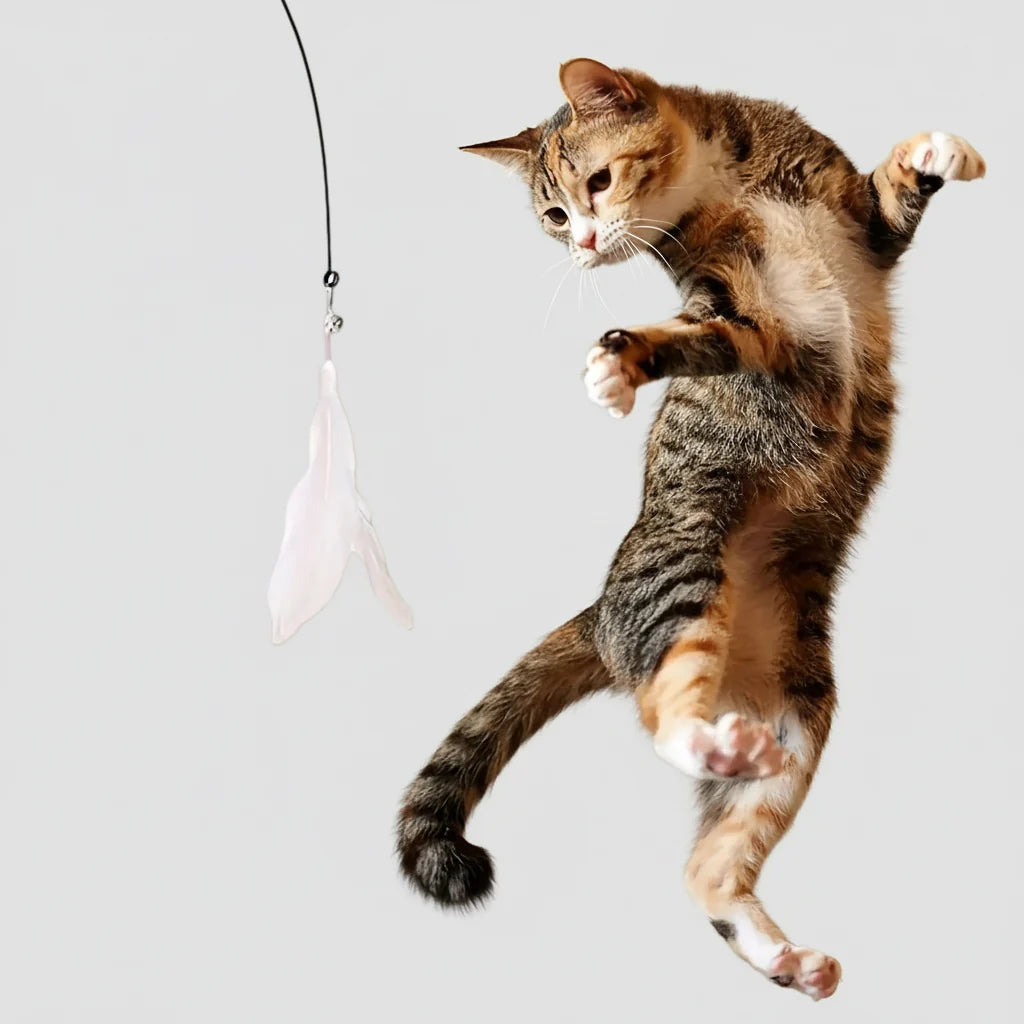 Midfox Suction-Cup Feather Wand Cat Toy