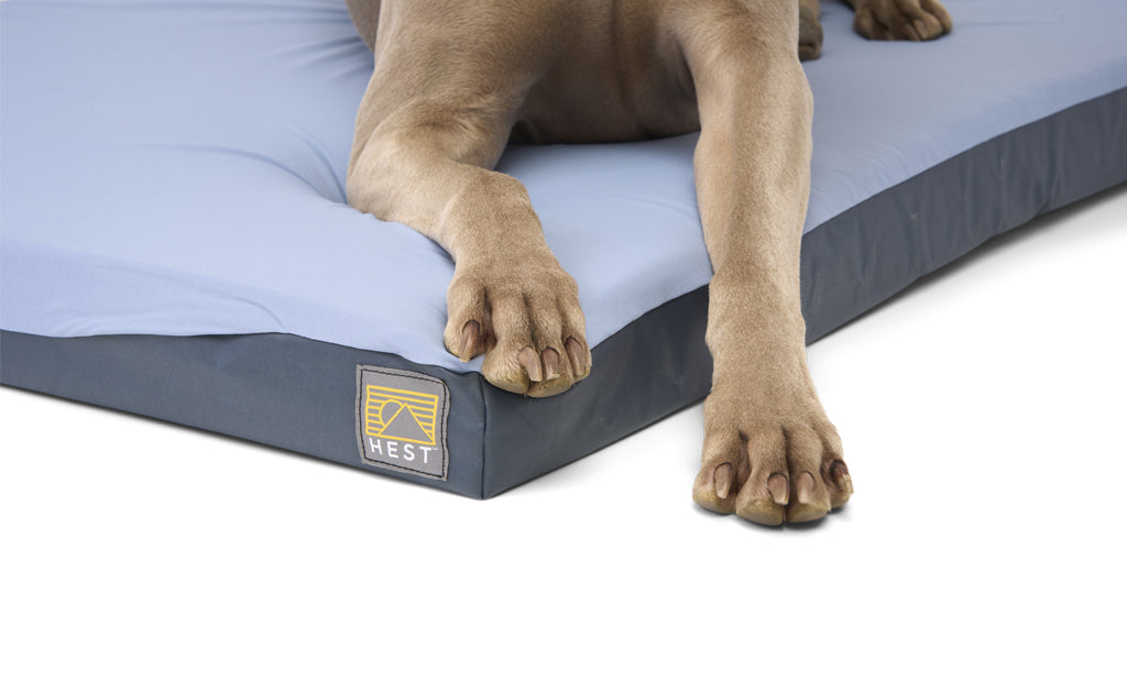 HEST Memory Foam Dog Bed
