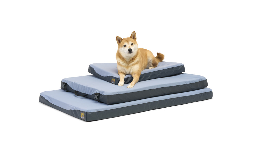 HEST Memory Foam Dog Bed