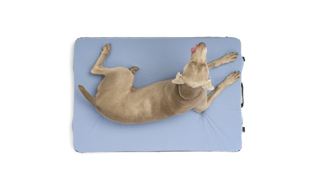 HEST Memory Foam Dog Bed