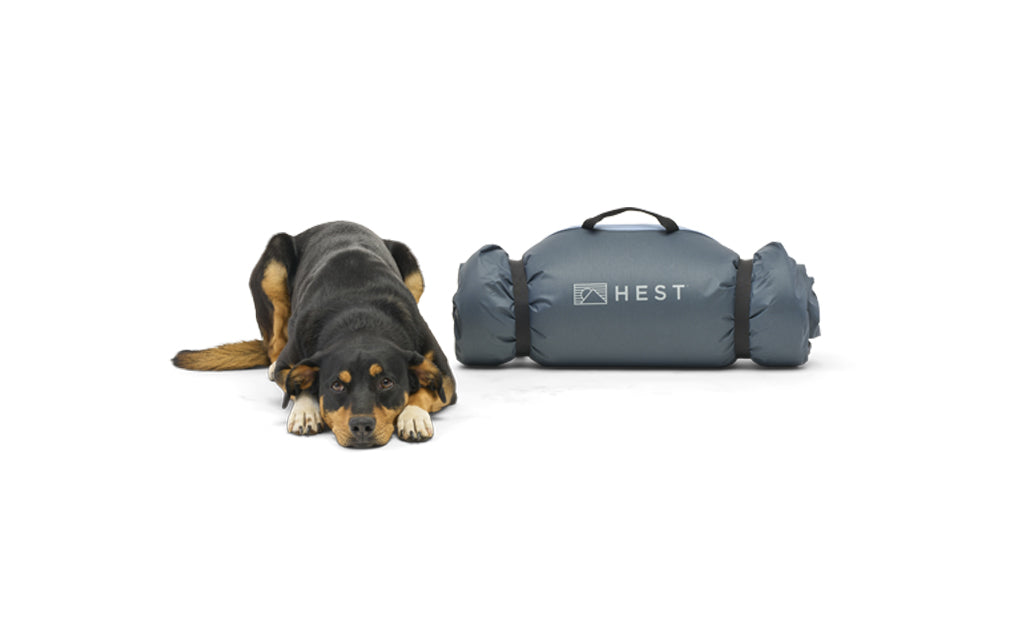 HEST Memory Foam Dog Bed