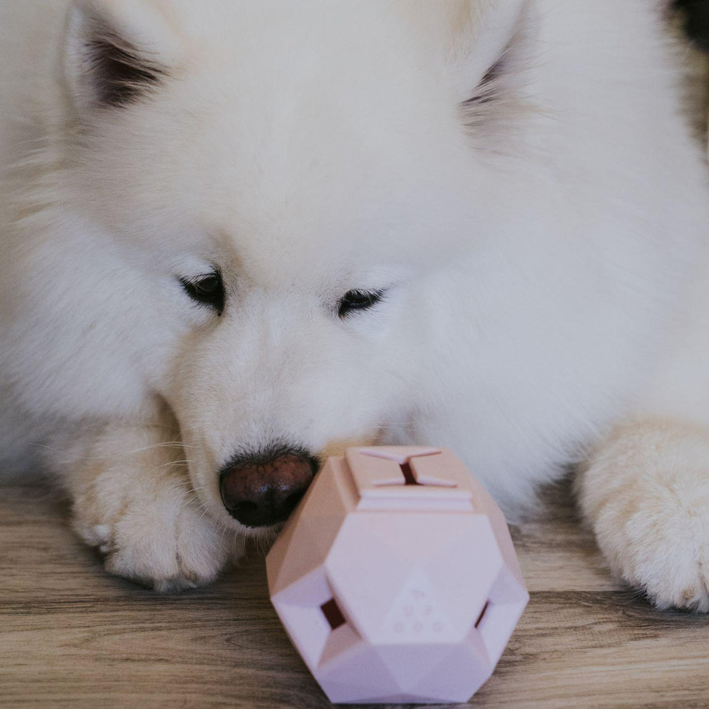 Up Dog Odin Treat Dispensing Toy