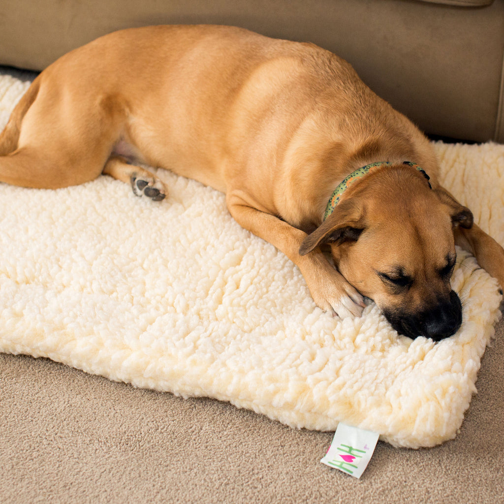 HuggleHounds HuggleFleece Mat Bed for Cats & Dogs