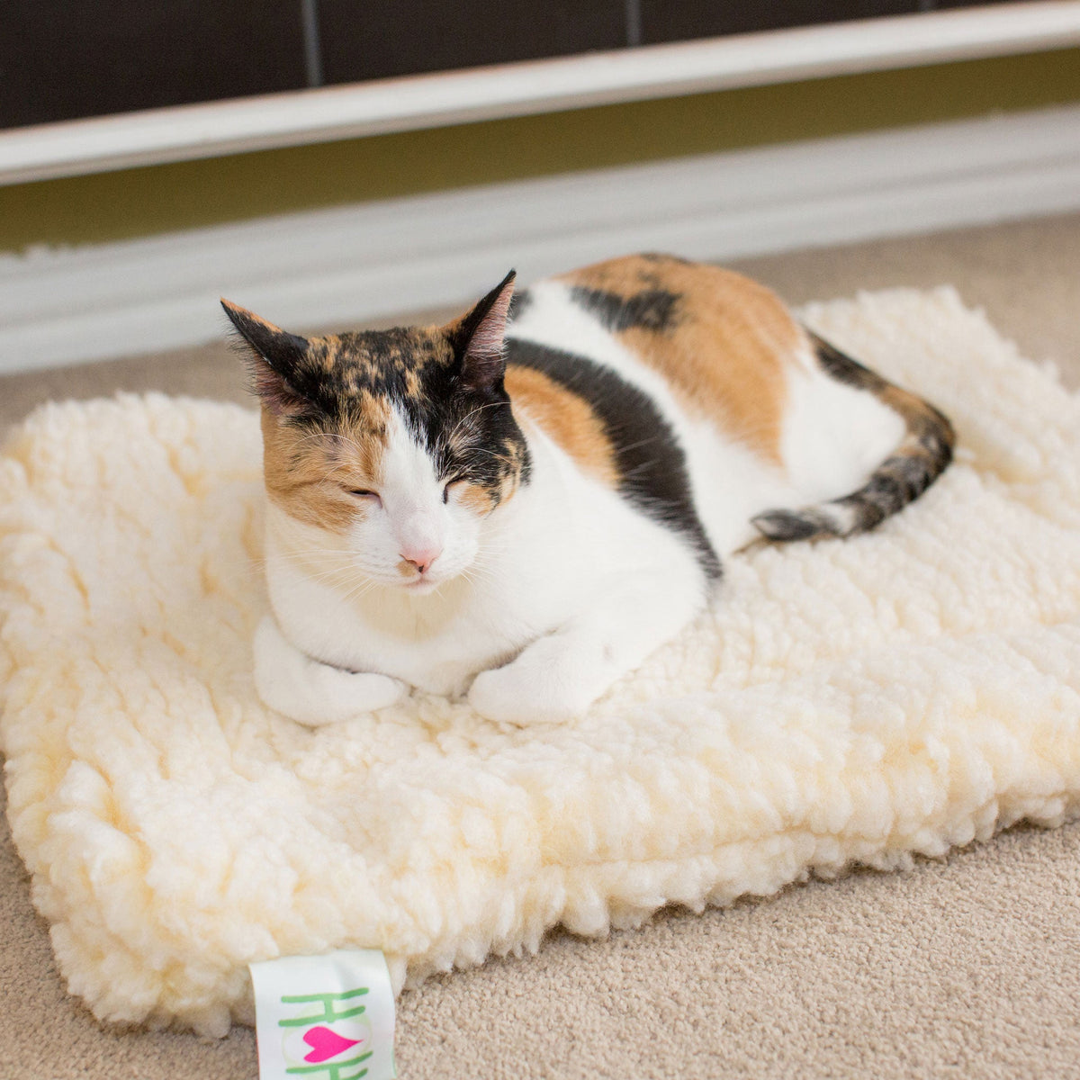 HuggleHounds HuggleFleece Mat Bed for Cats & Dogs
