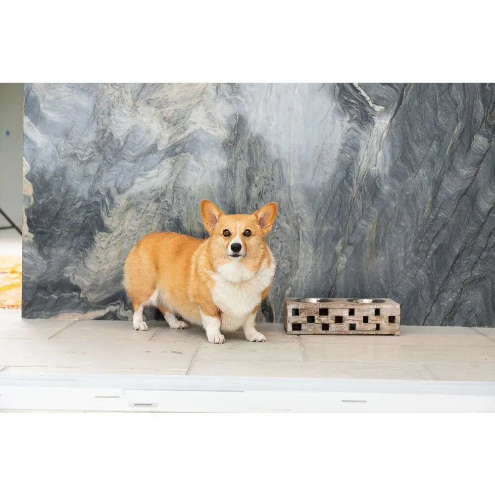 Huntley Elevated Wood Double Bowl Feeder