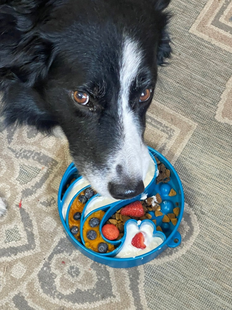SodaPup Wave Slow Feeder Dog Bowl