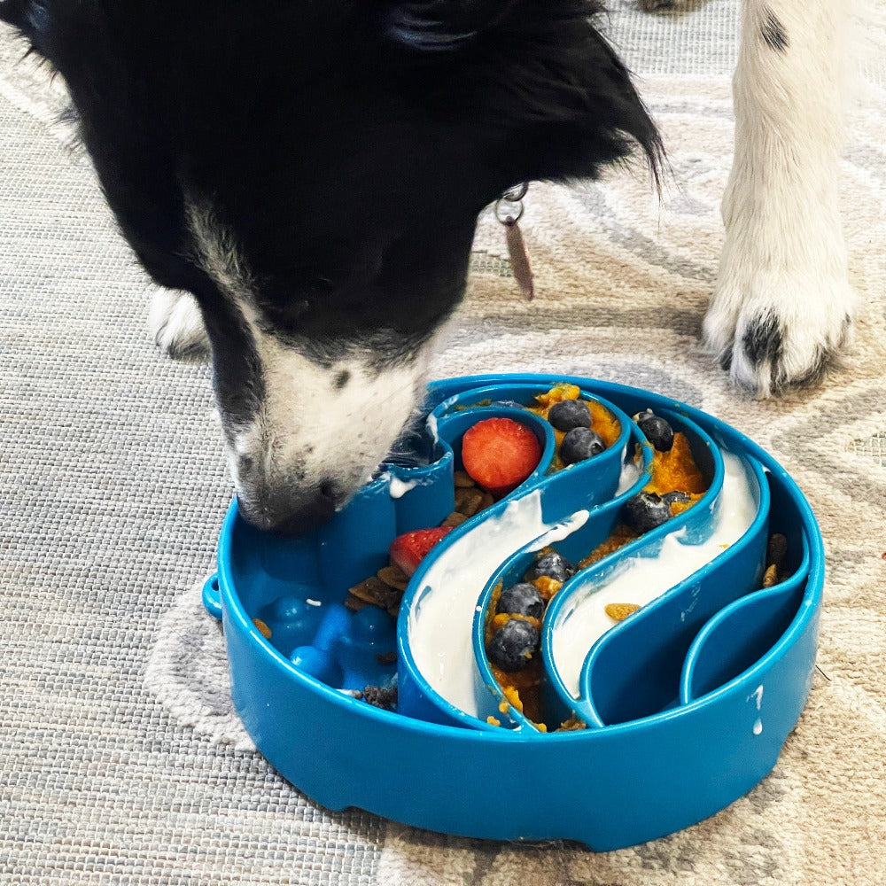 SodaPup Wave Slow Feeder Dog Bowl