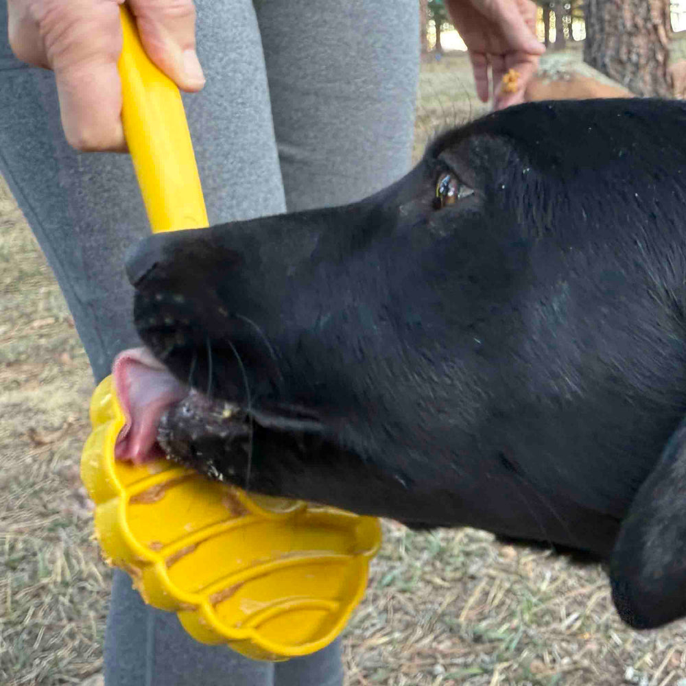 SodaPup eStick Lick Stick
