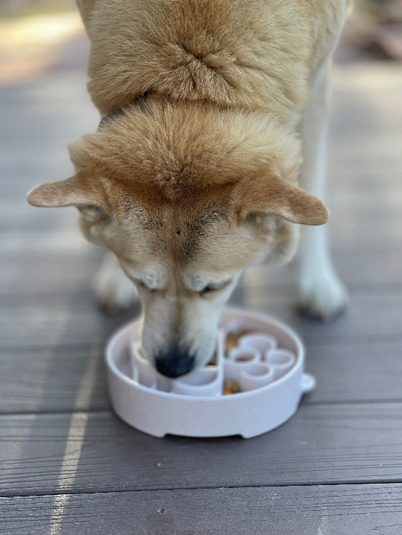 SodaPup Java Slow Feeder Dog Bowl