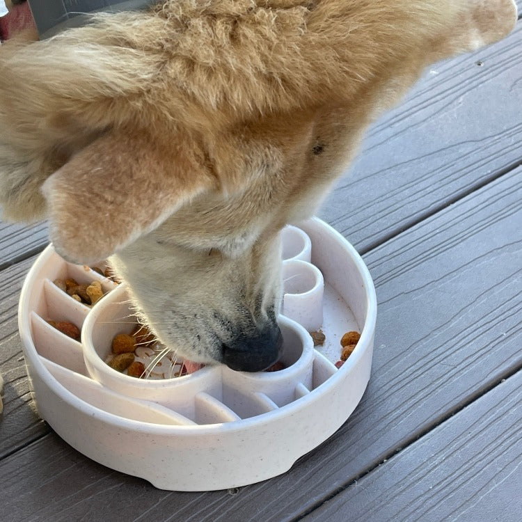 SodaPup Java Slow Feeder Dog Bowl