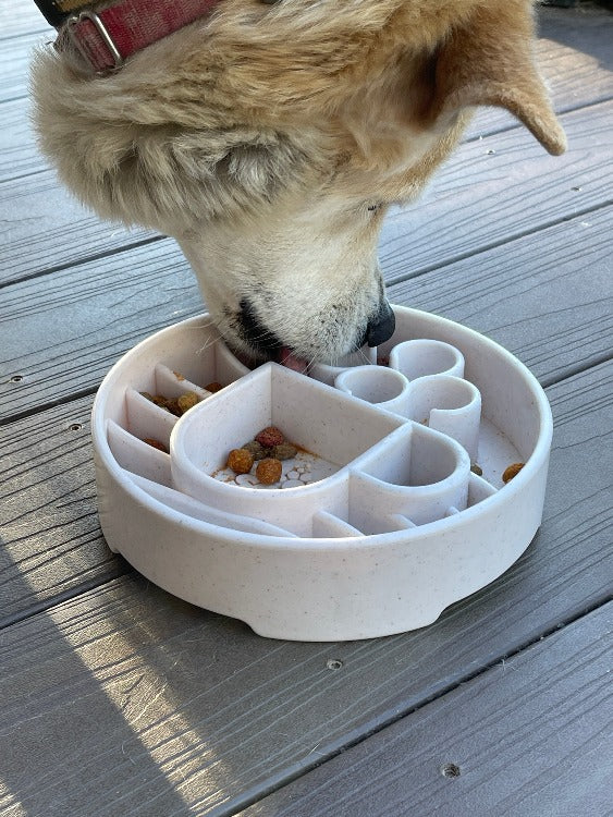 SodaPup Java Slow Feeder Dog Bowl