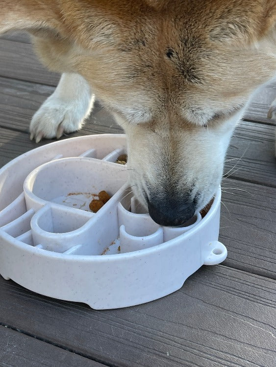 SodaPup Java Slow Feeder Dog Bowl