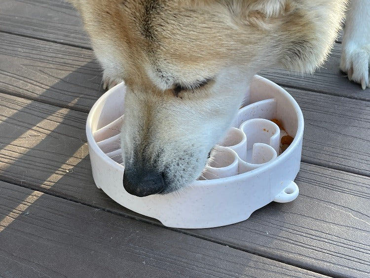 SodaPup Java Slow Feeder Dog Bowl
