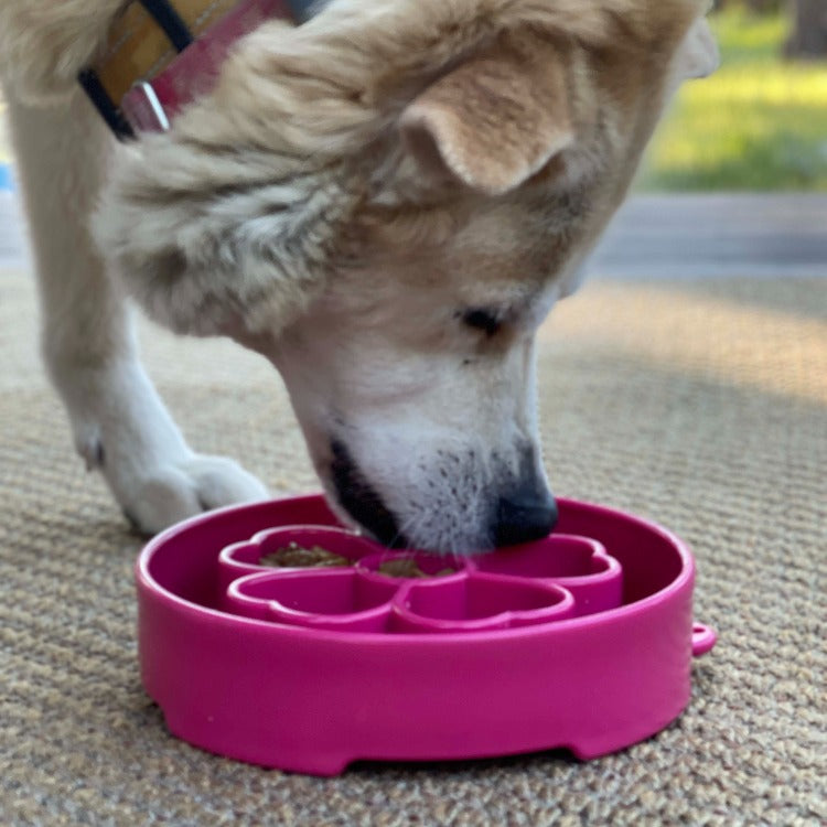 SodaPup Flower Slow Feeder Dog Bowl