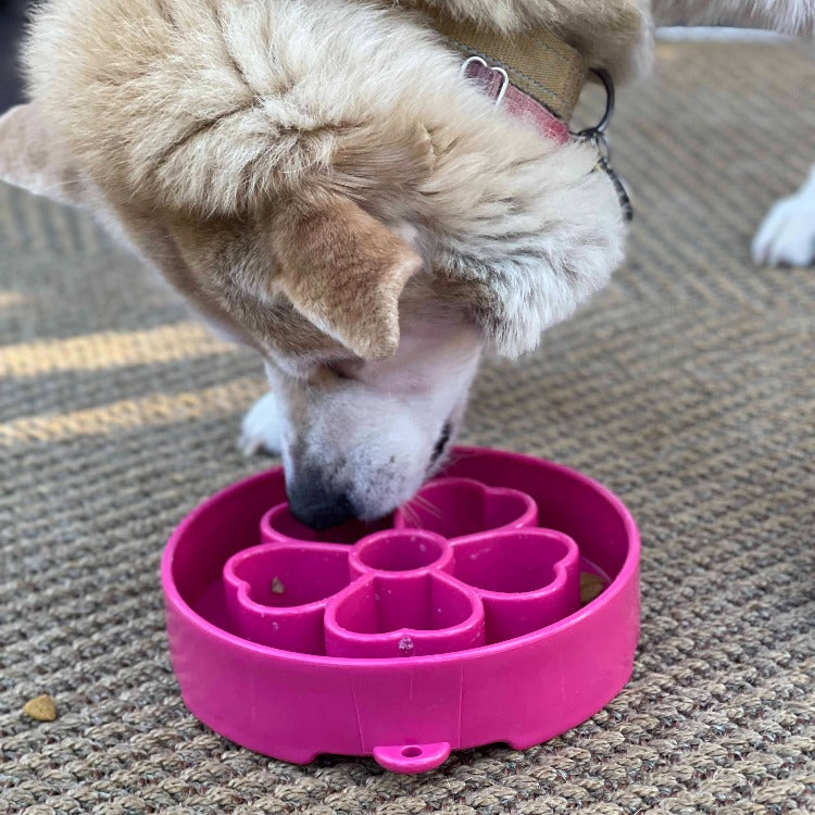 SodaPup Flower Slow Feeder Dog Bowl