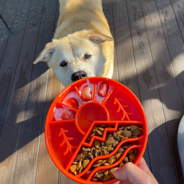 SodaPup Great Outdoors Slow Feeder Dog Bowl