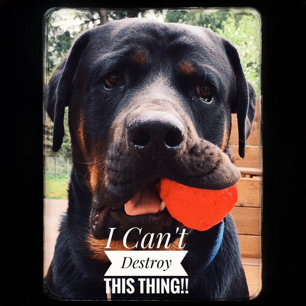 WUNDERball Natural Rubber Fetch Ball