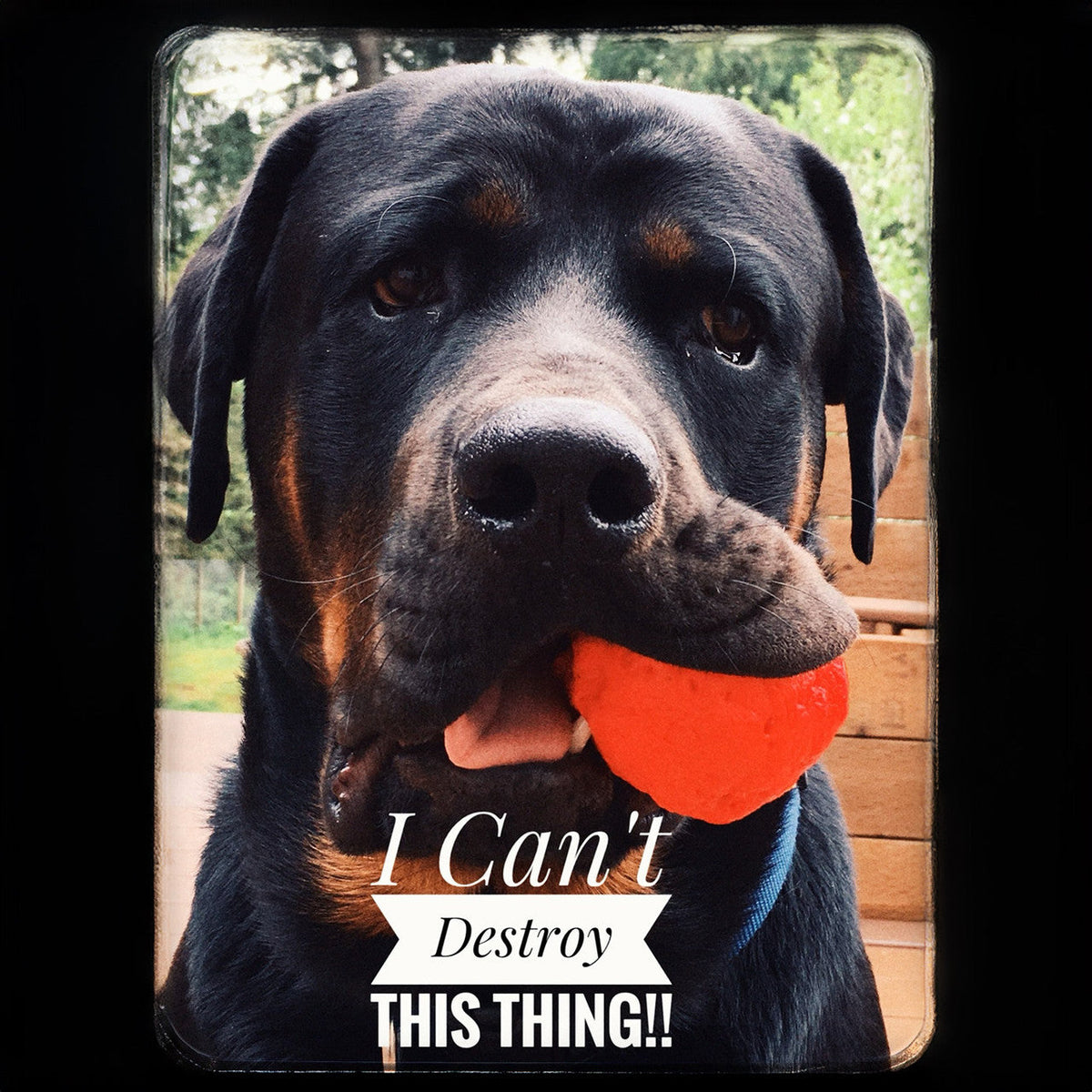 WUNDERball Natural Rubber Fetch Ball