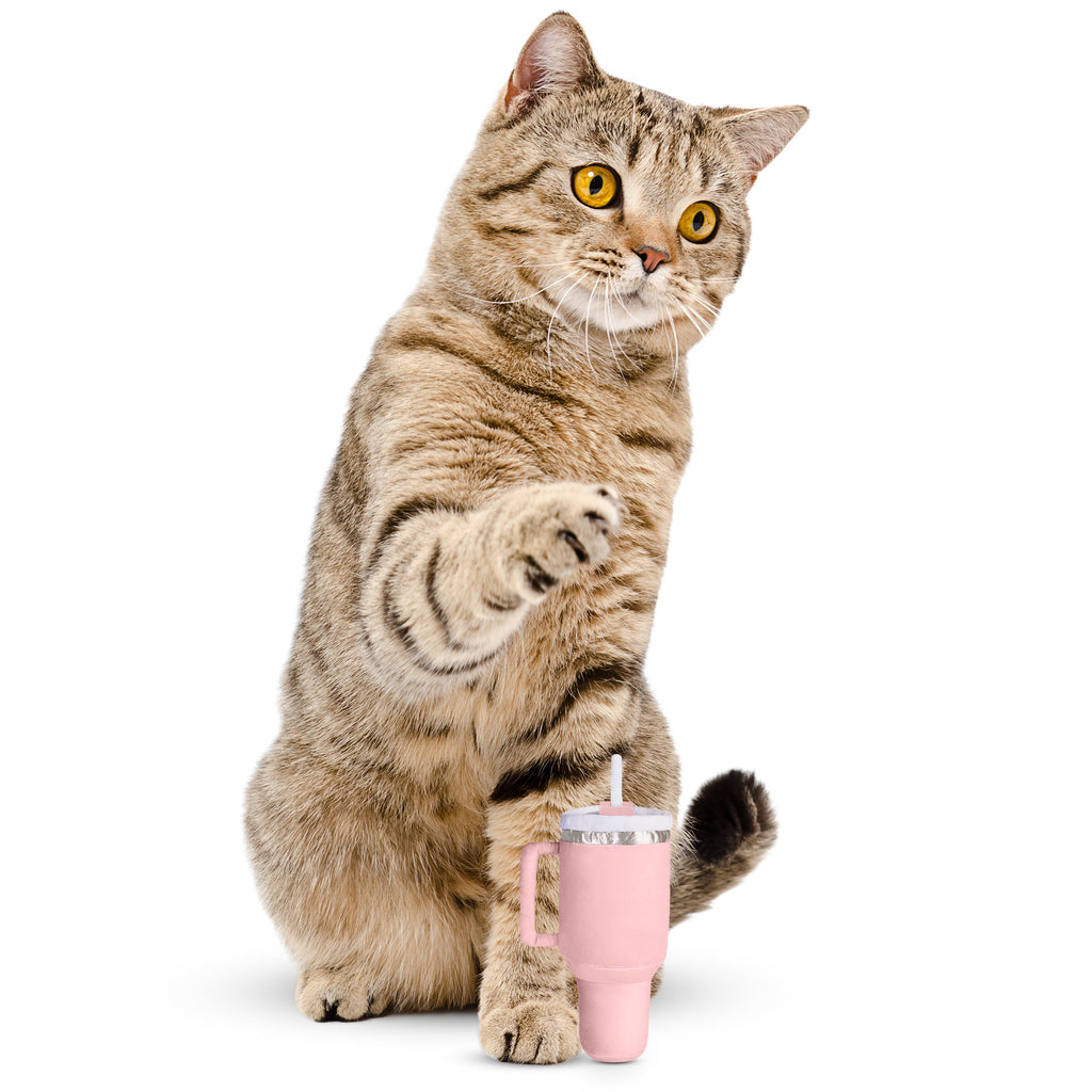 PUPROAR Kitty Cup Catnip Cat Toy