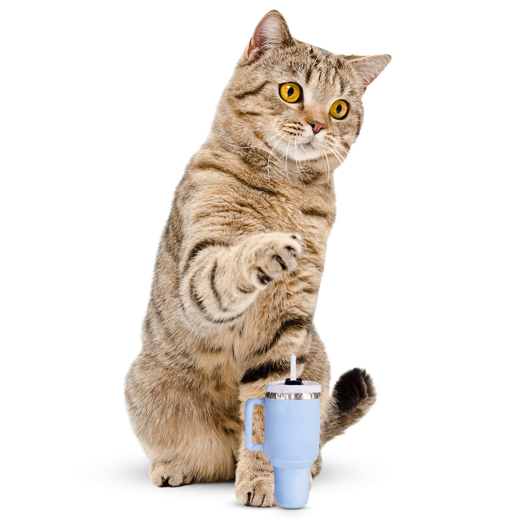 PUPROAR Kitty Cup Catnip Cat Toy