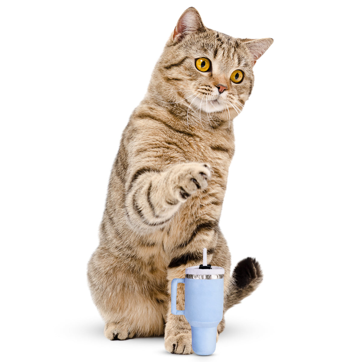 PUPROAR Kitty Cup Catnip Cat Toy