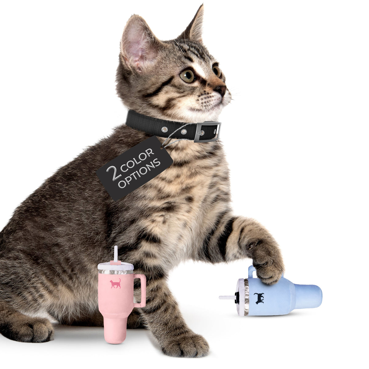 PUPROAR Kitty Cup Catnip Cat Toy