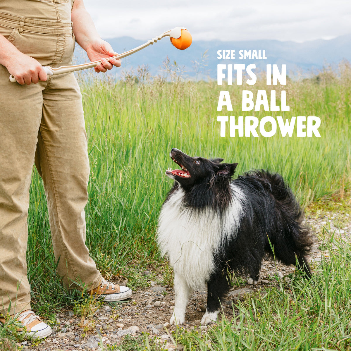 West Paw Jive Fetch Ball for Dogs