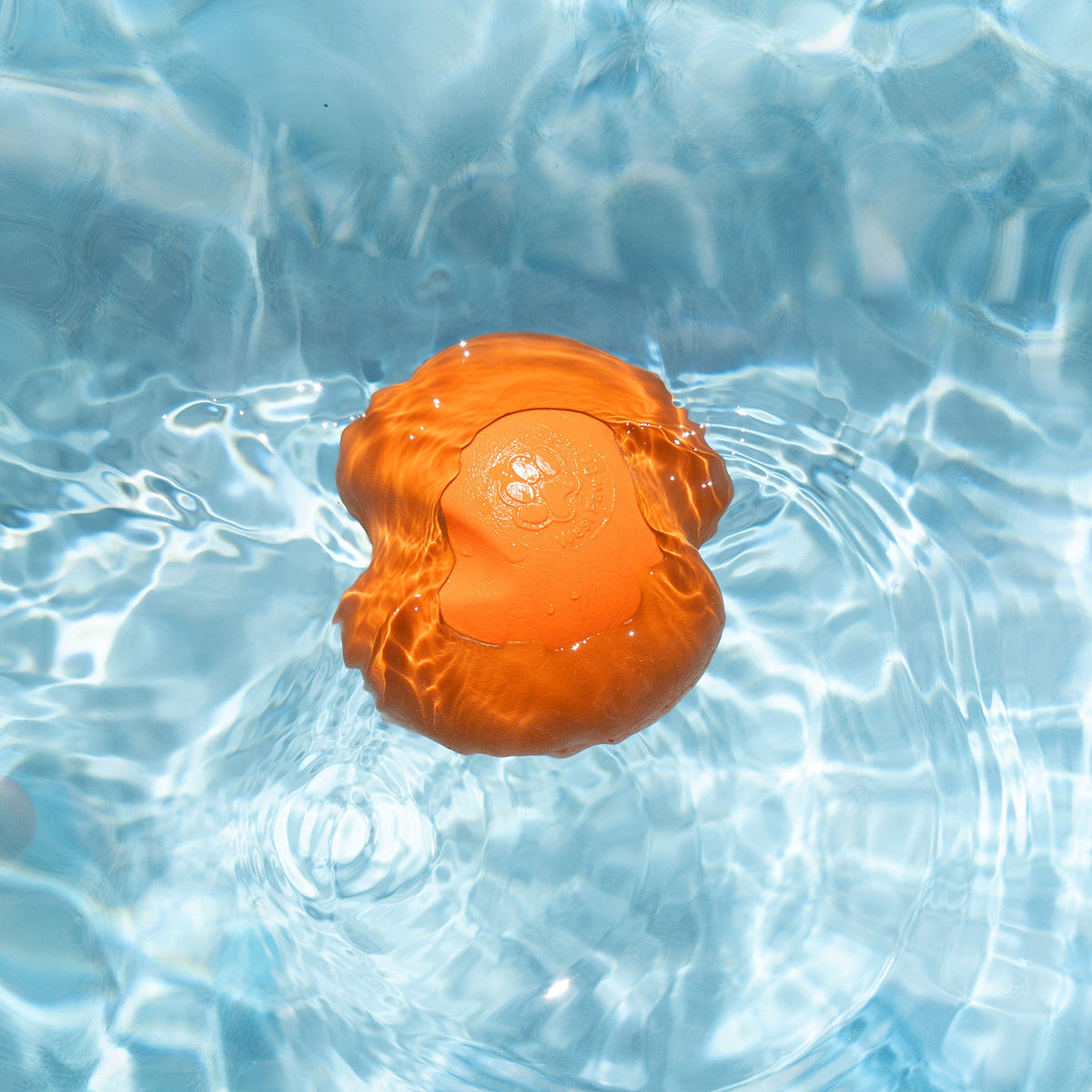 West Paw Jive Fetch Ball for Dogs