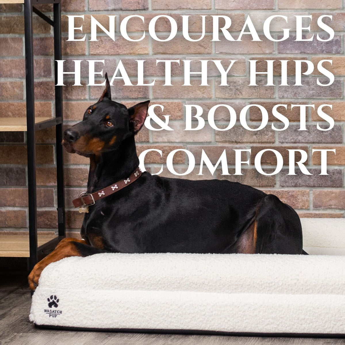 Wasatch Pup Luxury Orthopedic Dog Bed