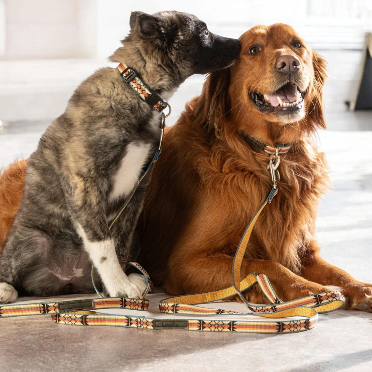 Luwello Classic 1" Dog Leash