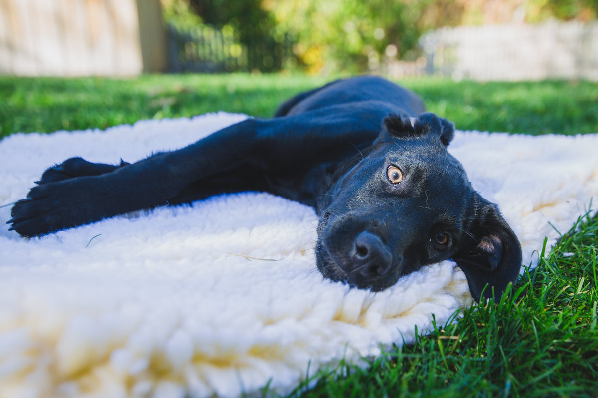 HuggleHounds HuggleFleece Mat Bed for Cats & Dogs