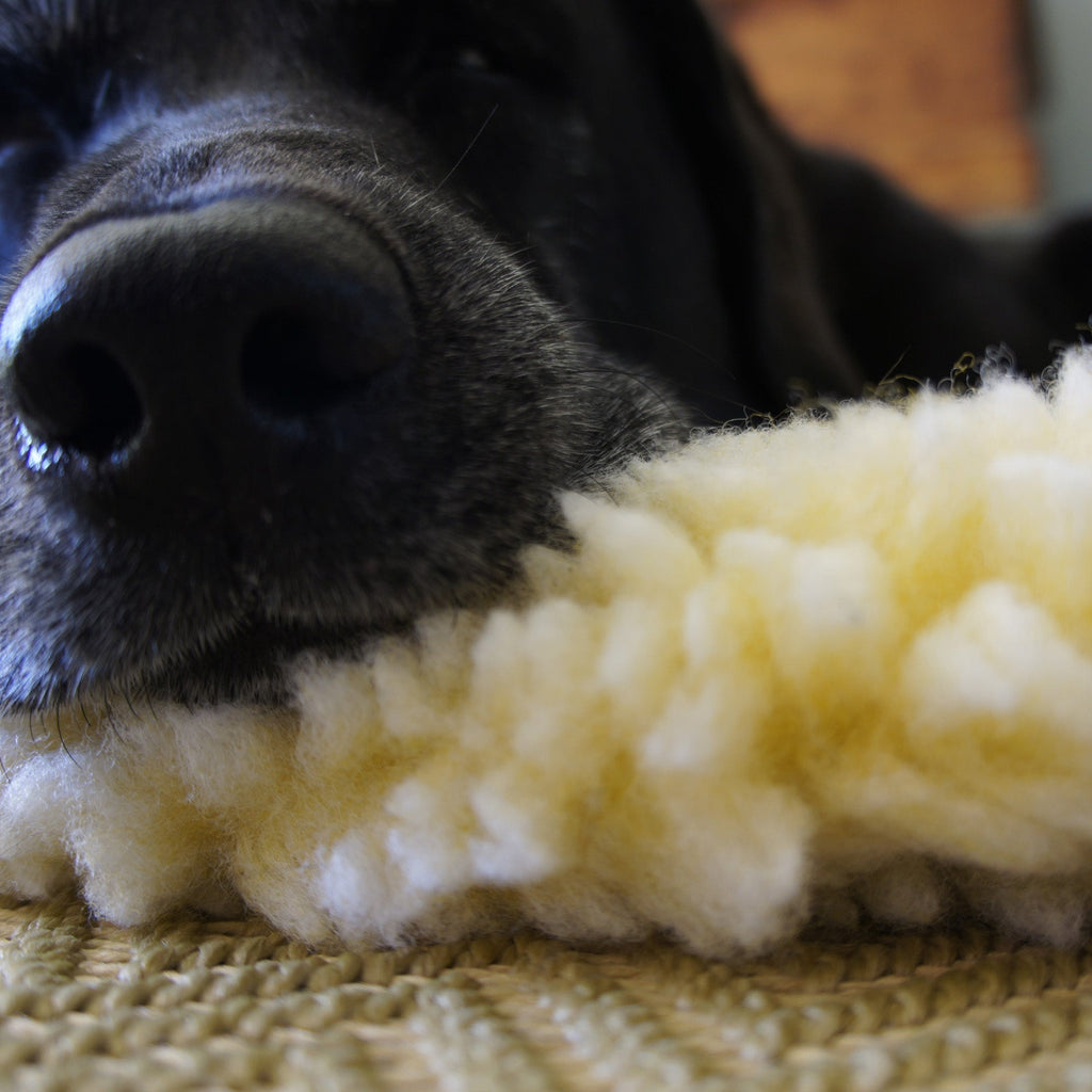 HuggleHounds HuggleFleece Mat Bed for Cats & Dogs