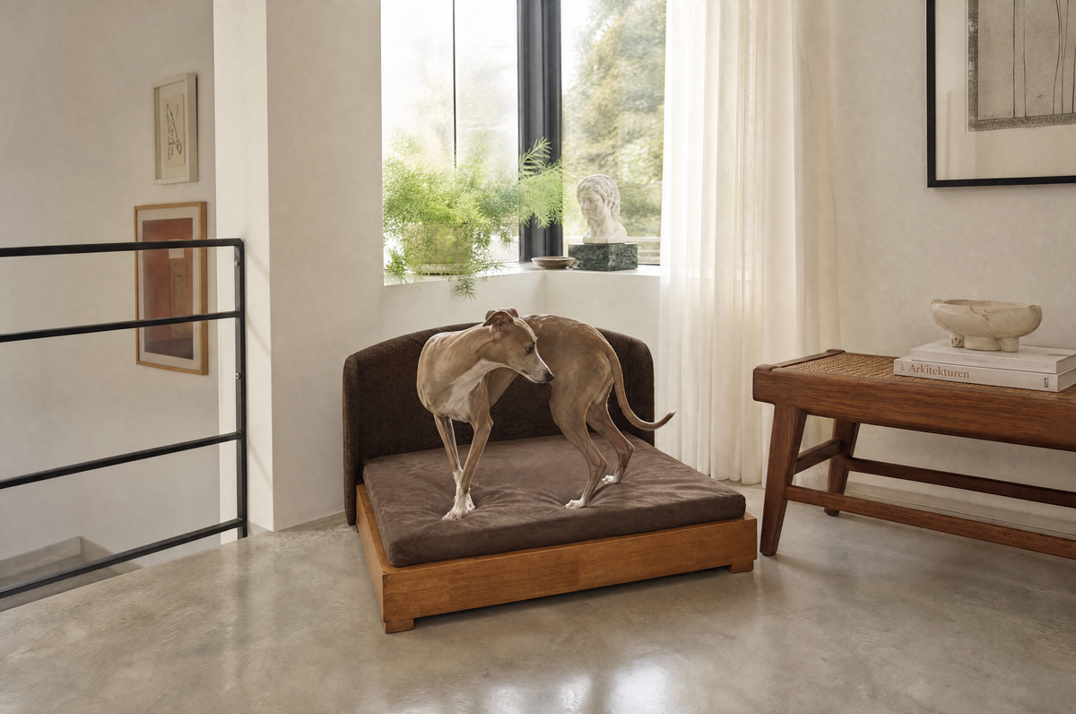 Mafé The Haven Hardwood Dog Bed
