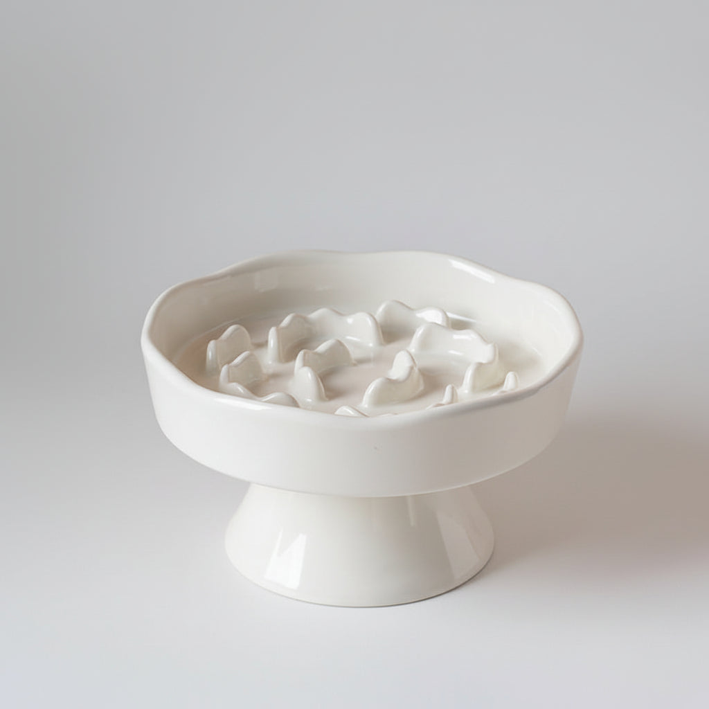 Midfox Elevated Ceramic Slow Feeder Bowl