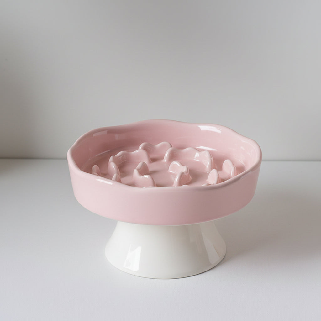 Midfox Elevated Ceramic Slow Feeder Bowl