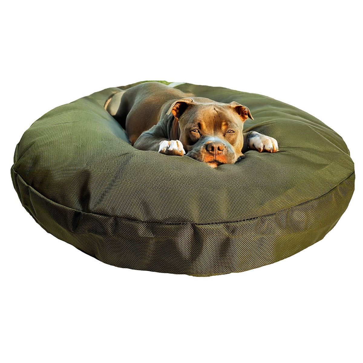 American Dog Round Armor Dog Bed